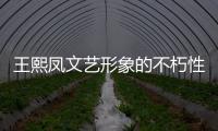 王熙凤文艺形象的不朽性：像一团燃烧的烈焰，照亮贾府，又在燃烧中自焚