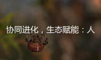 协同进化，生态赋能：人工智能ASIC芯片与GPU的技术路径解析