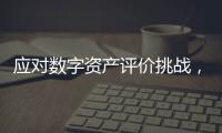 应对数字资产评价挑战，洞悉行业将来机遇