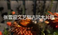 张雪迎文艺复古风大片曝光 满溢优雅率性少女气息