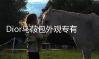 Dior马鞍包外观专有申请再次被驳回